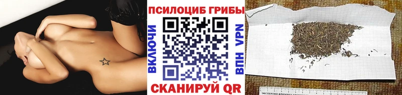 Купить Гатчина Галлюциногенные грибы мицелий